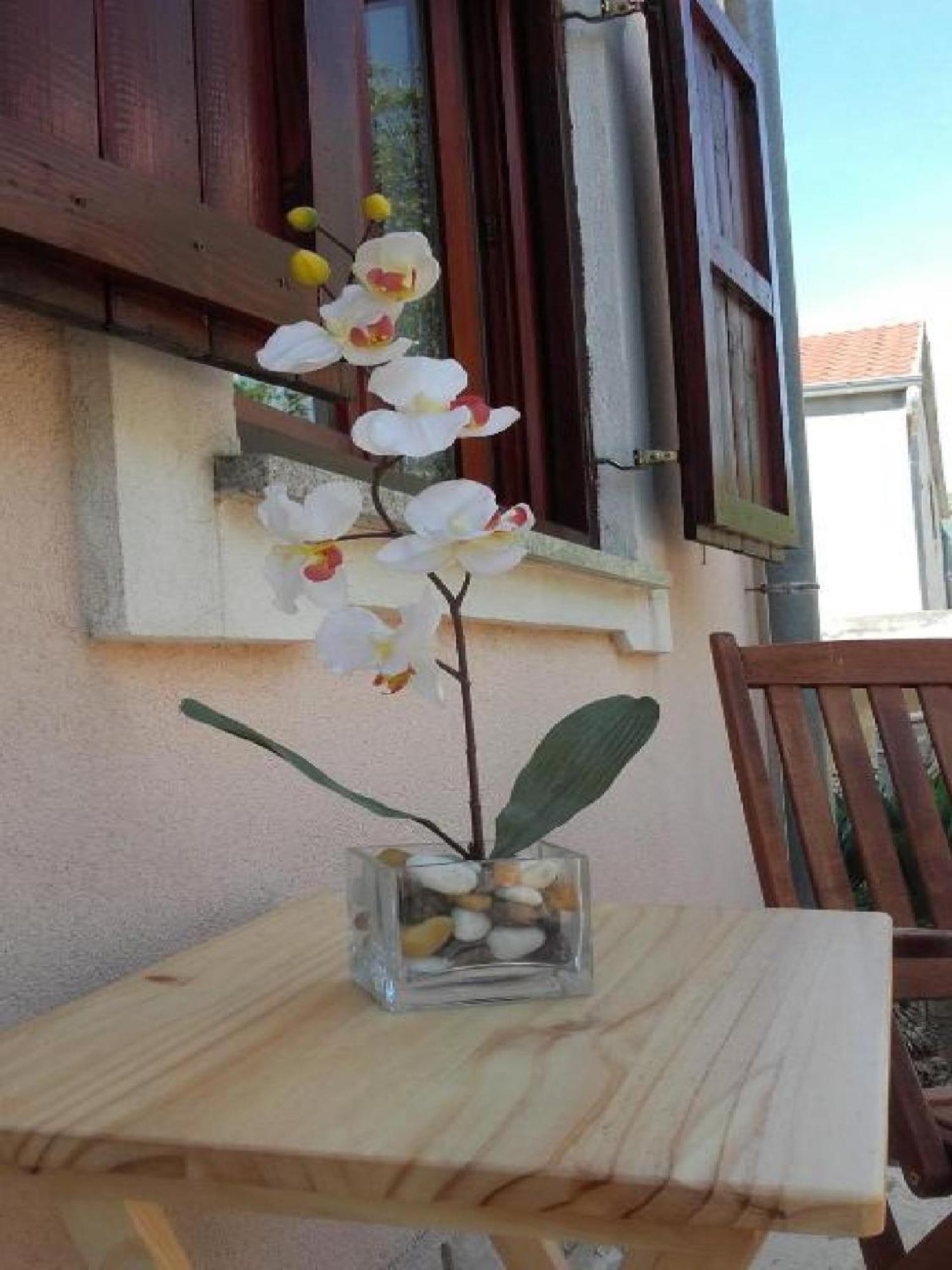Apartments Smilje I Maslina Горни-Карин Номер фото